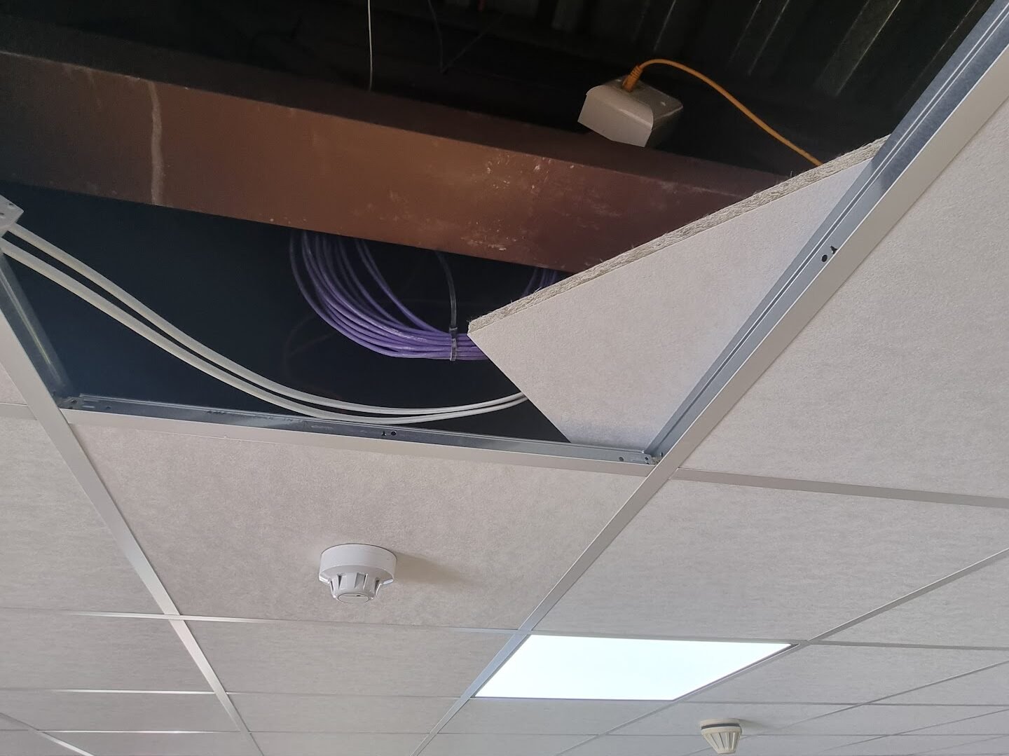 Structured network cabling installed above suspended ceiling with Ethernet cables routed through building for business IT network setup
